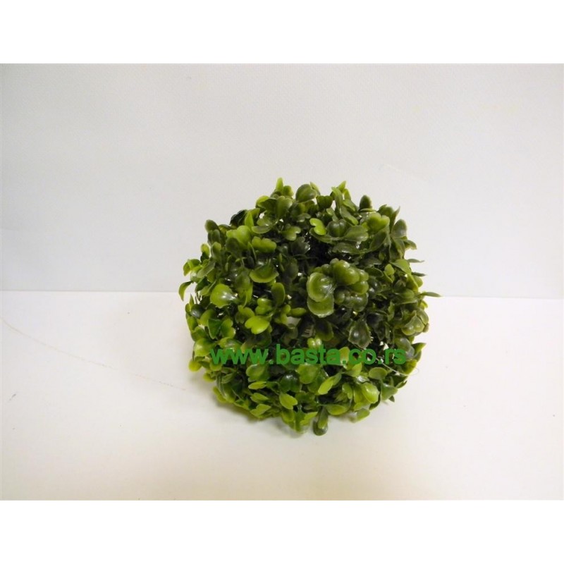 Lopta buxus  6521