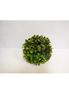 Lopta buxus  6521
