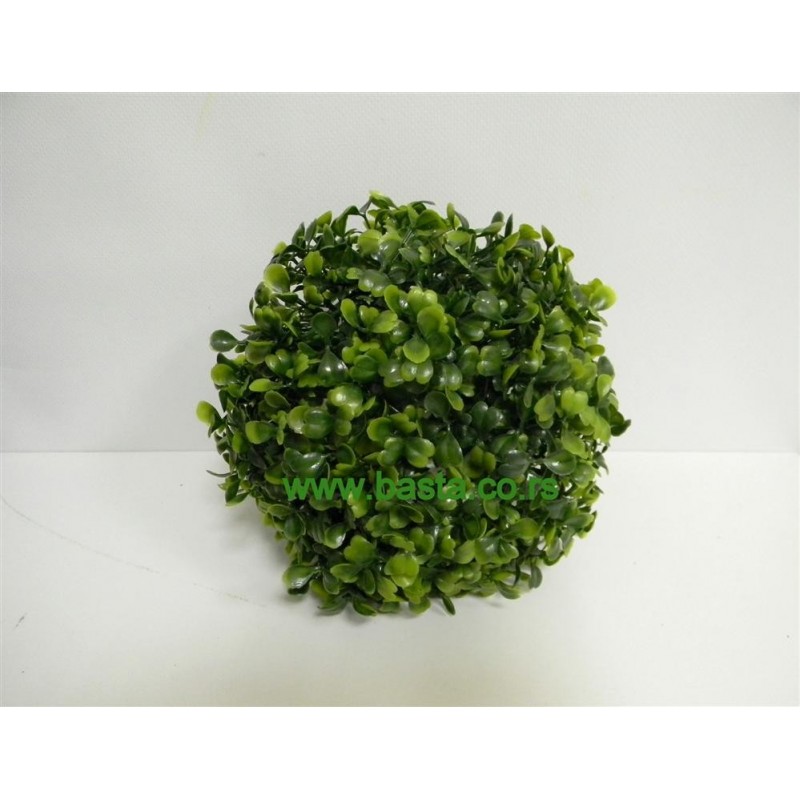 Lopta buxus  6521