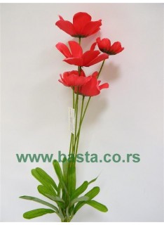 V.b poljsko cveće 5cv ciklama 7cm10008