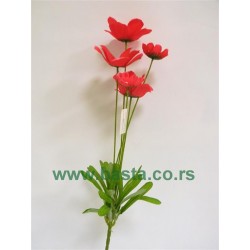 V.b poljsko cveće 5cv ciklama 7cm10008