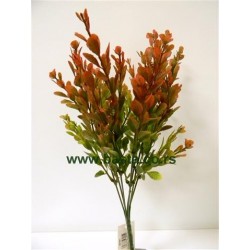 V.b. berberis 1147 zeleno/crveni