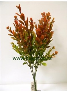 V.b. berberis 1147 zeleno/crveni