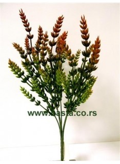 V.b. calluna 1158 bordo/braon