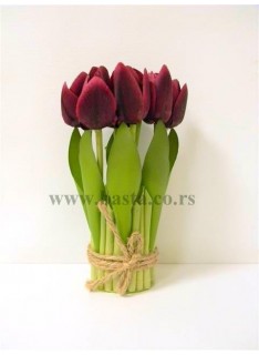V.bunt tulipana stojeci  908