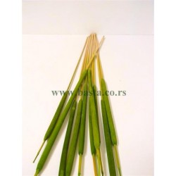 Suvo reed spadix 10 kom